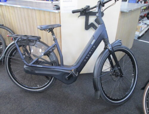 Gazelle AVIGNON bj 10-2024