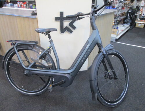 Gazelle Avignon C380 met smart systeem 53 cm